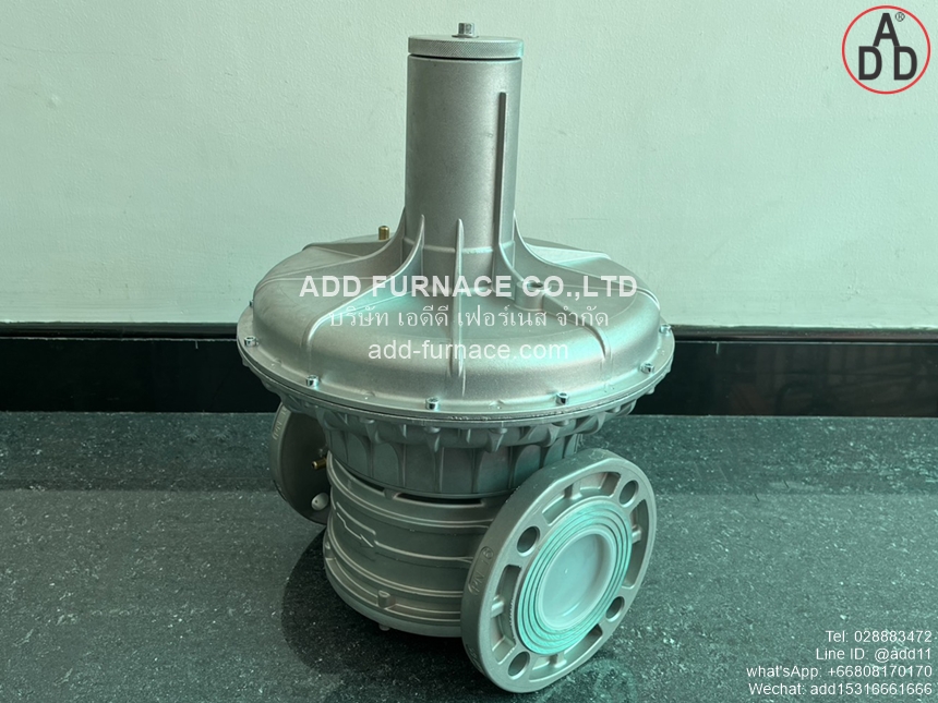 Madas Mod AG/RC DN65 (6)